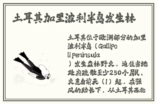 国产一二三四苹果区